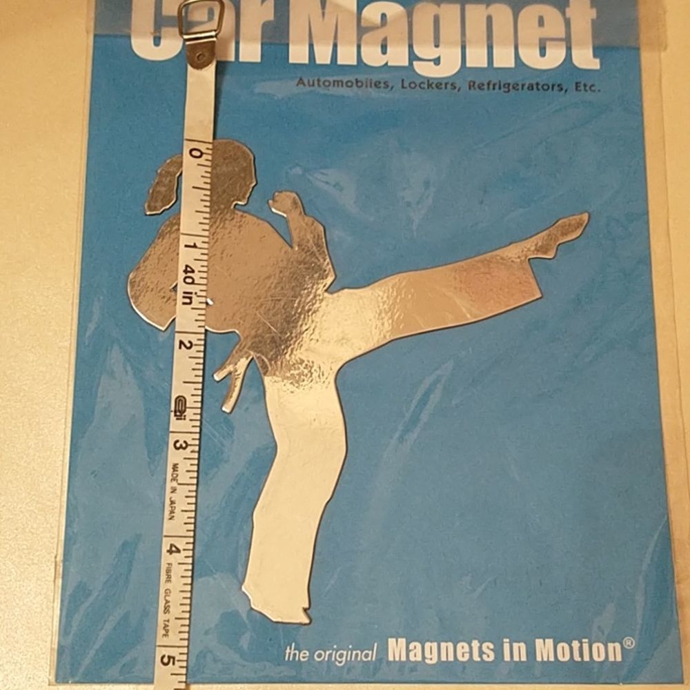 π3/$12 Karate Girl Car Magnet! - Picture 5 of 6